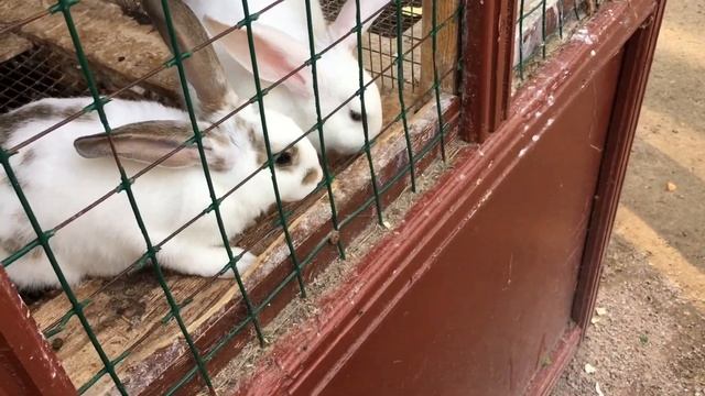 Конгресс-отель Ареал. Areal Congress Hotel