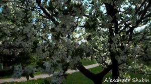 Около Тушинской детской больницы (Москва)