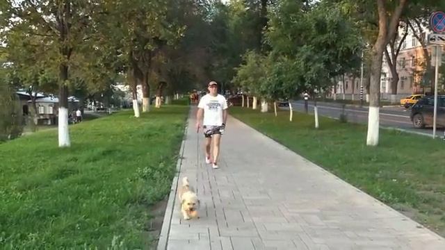 ОБНИМАЮ И ЦЕЛУЮ - Валерий Палаускас смотреть онлайн