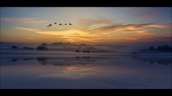 Relax in the Twilight with 1st find