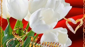 Поздравления 8 мартом.8 март байрам табриги🌺🥀🌹🌷⚘🌱🌴🍀