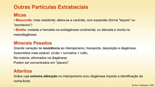 Aula teórica 5 Clásticas Composição Primária смотреть онлайн