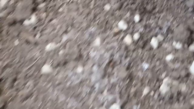 В САД ЗА СВЕЖИМ ВОЗДУХОМ !! смотреть онлайн