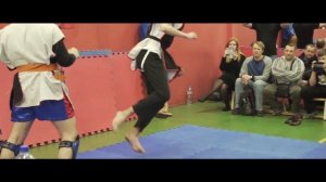 Славяно-Горицкая борьба