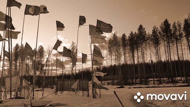 #Шиес ОНА... ( Олицетворение слабого пола на Шиесе) смотреть онлайн