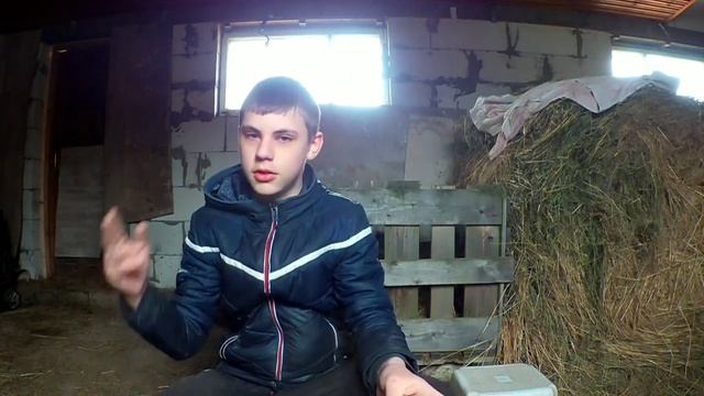 Козлятки-ребятки смотреть онлайн