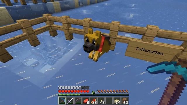 Docm77´s NEW Minecraft World Tour - Episode 67: Animal Lover смотреть онлайн