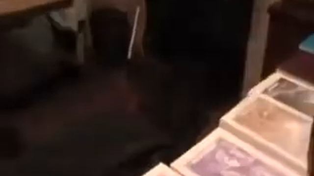 Церковная дисциплина. Игнатий Лапкин. смотреть онлайн