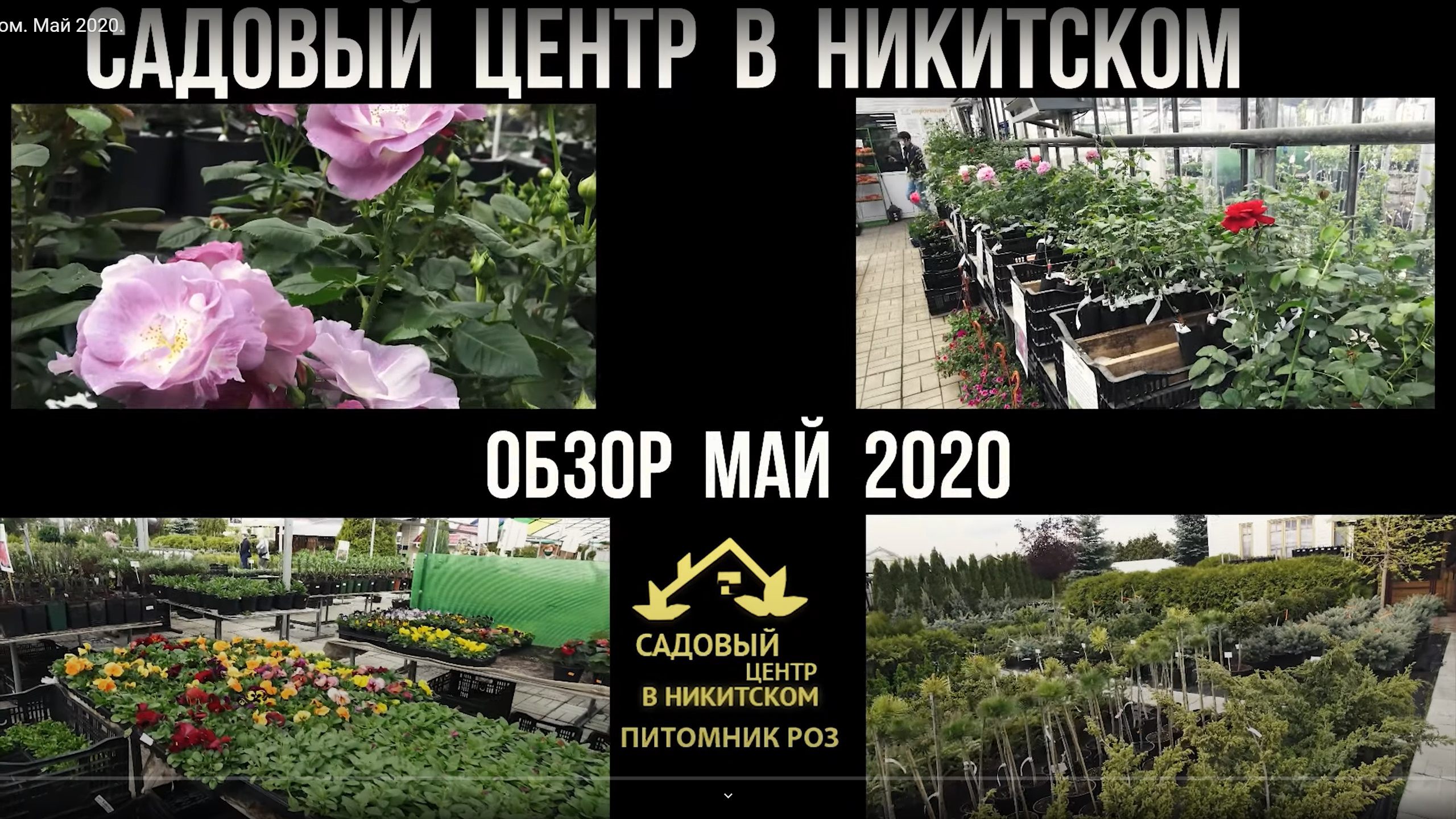 Садовый центр в Никитском Май 2020 смотреть онлайн