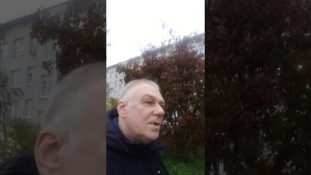 Этот куст сорокоуст смотреть онлайн