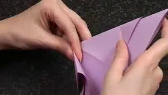 Tropicheskaya ribka смотреть онлайн