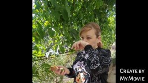 сбор Маракуй