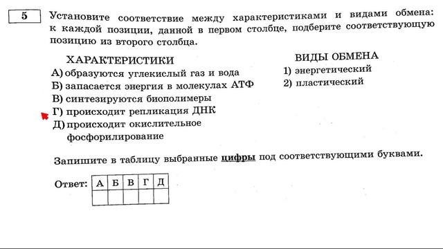 Энергетический обмен, клеточное дыхание, гликолиз – разбираем тесты ЕГЭ по биологии 2022 смотреть онлайн