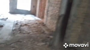 СОБАКА НАШЛА ЗАБРОШКУ В ЛЕСУ / ХАНААНСКАЯ