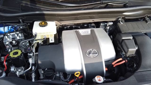 Lexus RX450h, Cineva Sa STINGA LUMINA In Germania