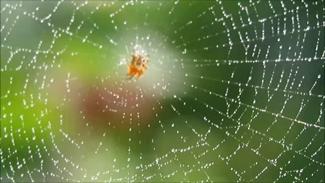 тест Canon PowerShot SX710 HS test смотреть онлайн