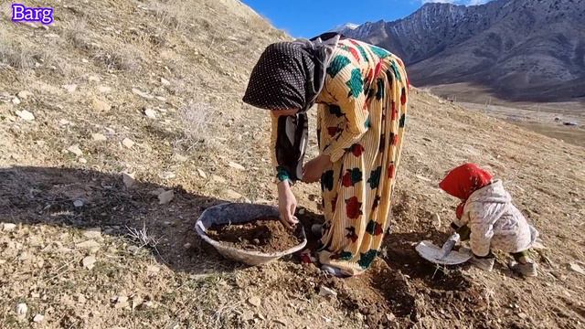 Construction Of Traditional Stone Oven By Zari Nomadic Woman And Viewer's Financial Contribution