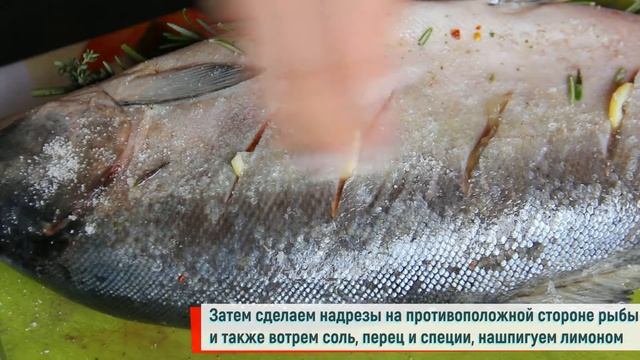 Наука и Исследования