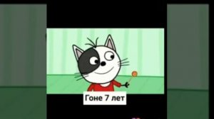 Сколько лет 3 котам мультик Сколько лет котам серия 1 1800