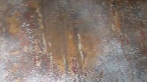 Удаляем въевшийся запах мочи (часть 2)