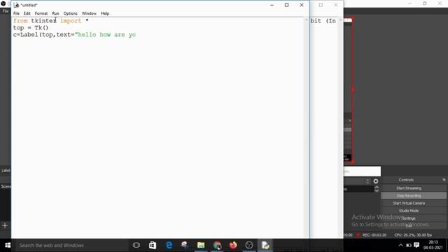 Label Widget In Python смотреть онлайн