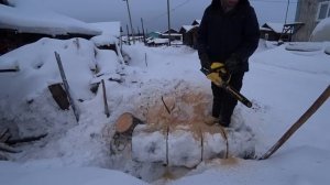 Бензопила Чемпион 241. Регулировал карбюратор, что из этого получилось?  Пилю дрова.