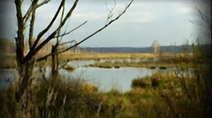 Борис Годунов. История Российского государства