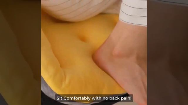 Say Goodbye To Back Pain - Back Support Cushion by Fur-Best - 2021 смотреть онлайн