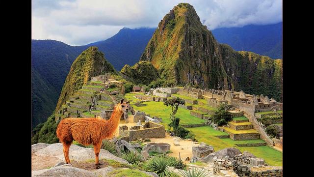 В мире животных Джеральда Даррелла