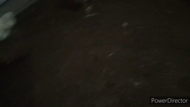 То мороз ,то опять тепло, Гуси на пруду.,готовим обед. смотреть онлайн