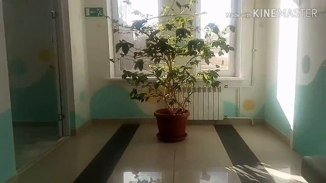 Гнойный отит.Мама к врачу.Выбираем куртку Даше.Будни "многомамы" смотреть онлайн