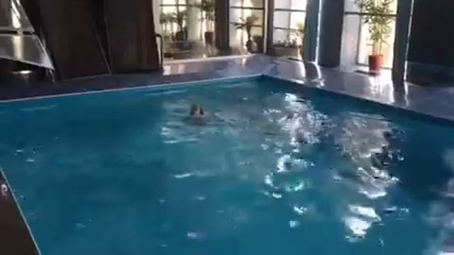 ВЛАДАЛЭНД В БАССЕЙНЕ ПОКАЗЫВАЕТ ТРЮКИ И ПРЫЖКИ отдыхаем в выходной день в отличном месте ХАМАМ смотреть онлайн