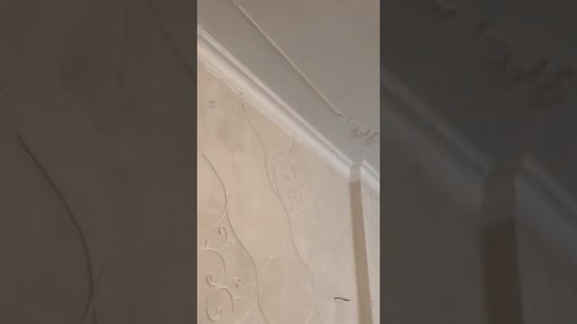 Монтаж тонкой гипсовой лепнины на потолок смотреть онлайн