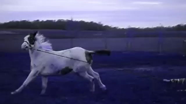 Не совладала с конем смотреть онлайн