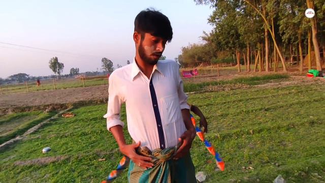 Tui Tui Funny Video Part 5😆 Tui Tui Best Comedy 😆tui Tui Funny💪tui Tui Must Watch Special New Video