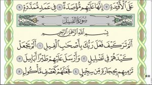 Коран. Сура "Аль-Филь" № 105. Чтение. #коран #ислам #казань