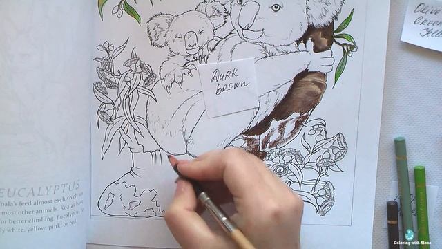 How I Colored Koala And Eucalyptus Tree In 'Australian Animals' Coloring Book. Part 1