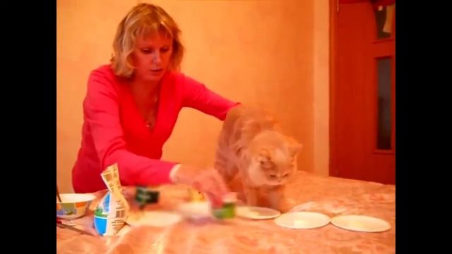 Кошка Маруся выбирает симбионты Кутушова ! HD, 1280x720 2 смотреть онлайн