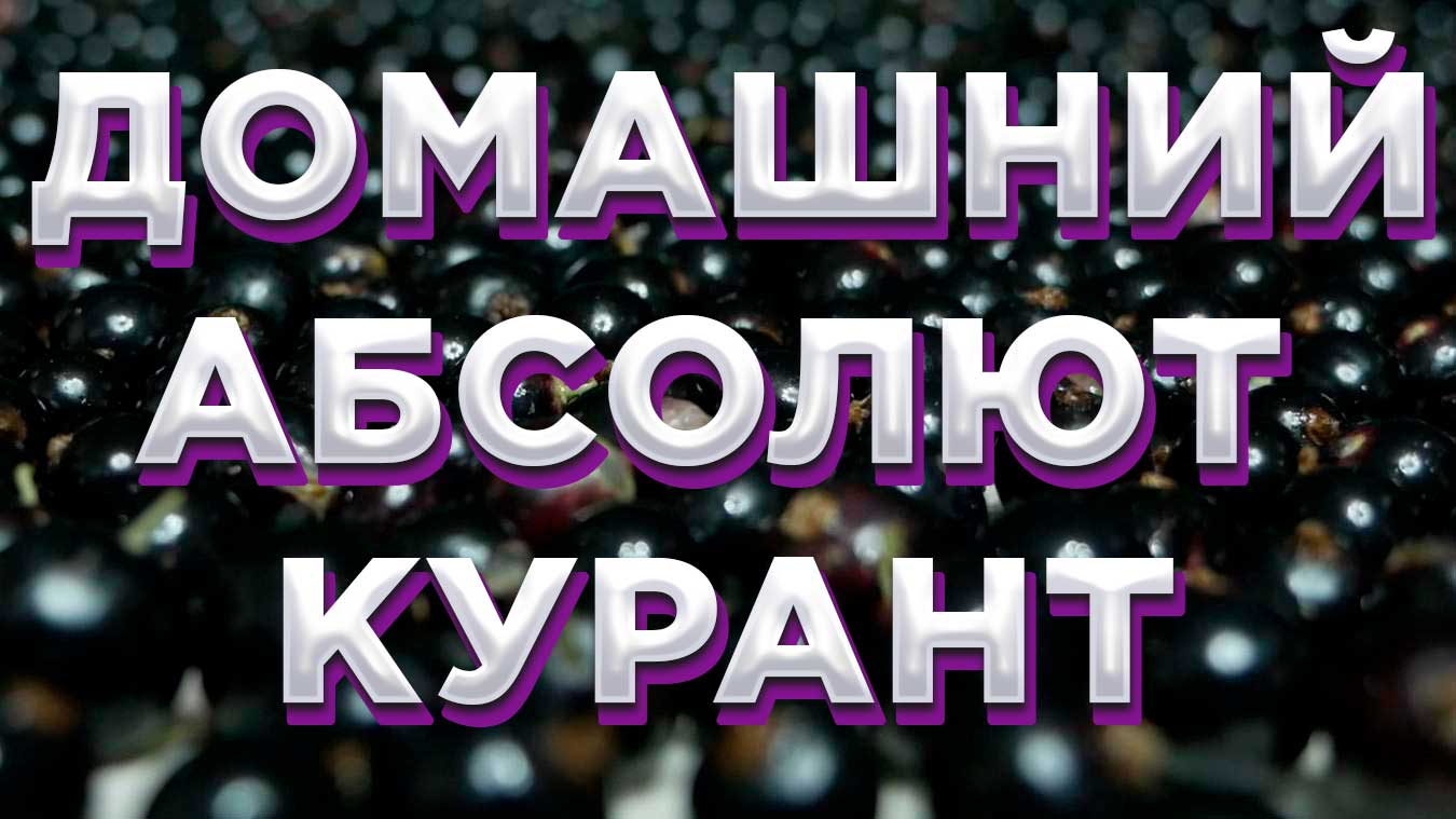 СМОРОДИНОВАЯ ВОДКА В ДОМАШНИХ УСЛОВИЯХ смотреть онлайн