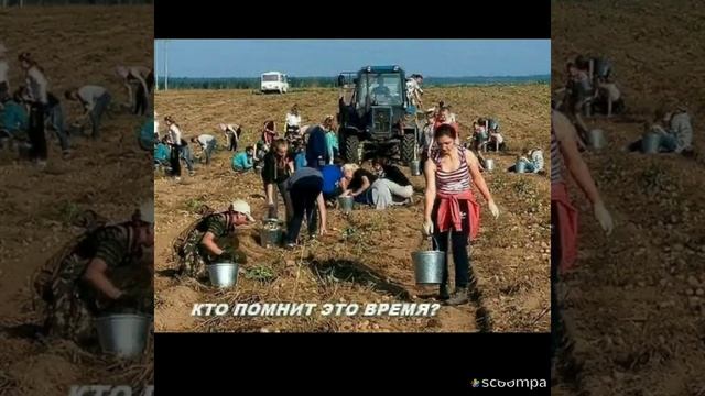 Slideshow__294_20230303_NNqcZR.mp4