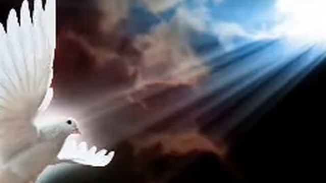 Музыка востока душевная. смотреть онлайн