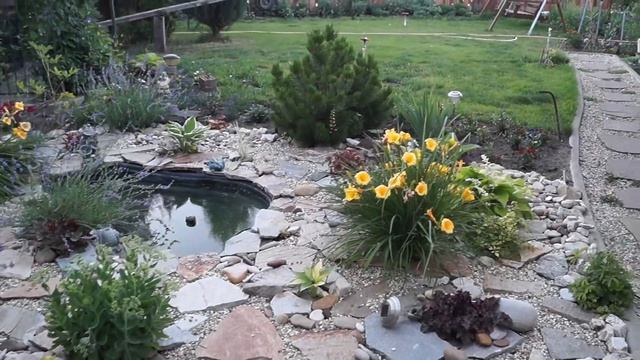 Любимые хосты,гейхеры и астильбы.Растения для полутени. смотреть онлайн