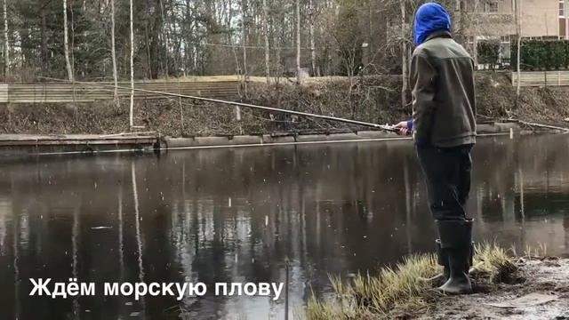 Морская Плотва смотреть онлайн