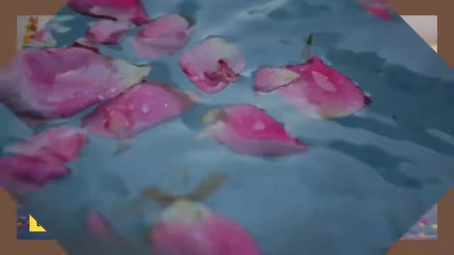 Attar of Roses: The Story Behind the Blend смотреть онлайн