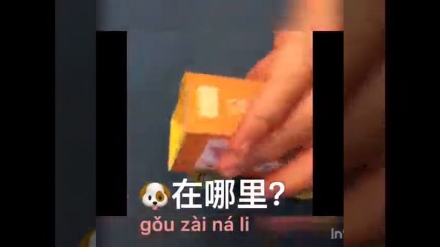 Играем и повторяем животных на китайском смотреть онлайн