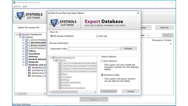 MS Access MDB & ACCDB Recovery Tool - Repair Corrupt Access Database Easily!