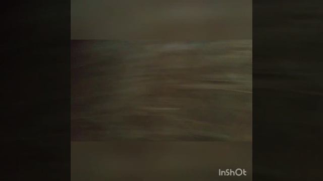 Полка для кроликов смотреть онлайн