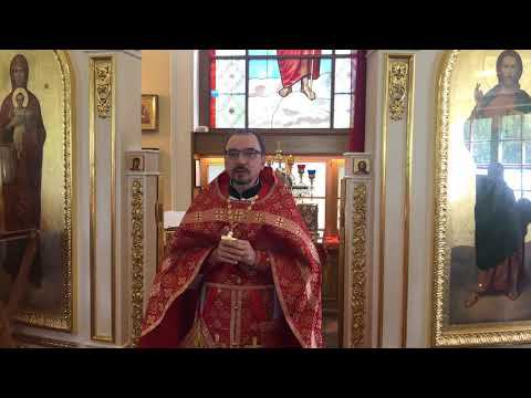 Проповедь в Неделю о слепом. Протоиерей Владимир Кочубей смотреть онлайн
