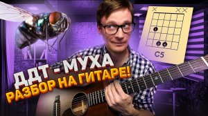 ДДТ Муха подробный разбор на гитаре 🎸 кавер табы аккорды