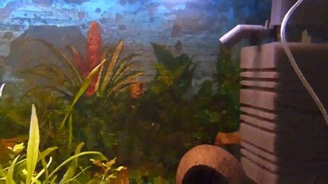 Самодельный генератор углекислого газа СО2 CO2 смотреть онлайн